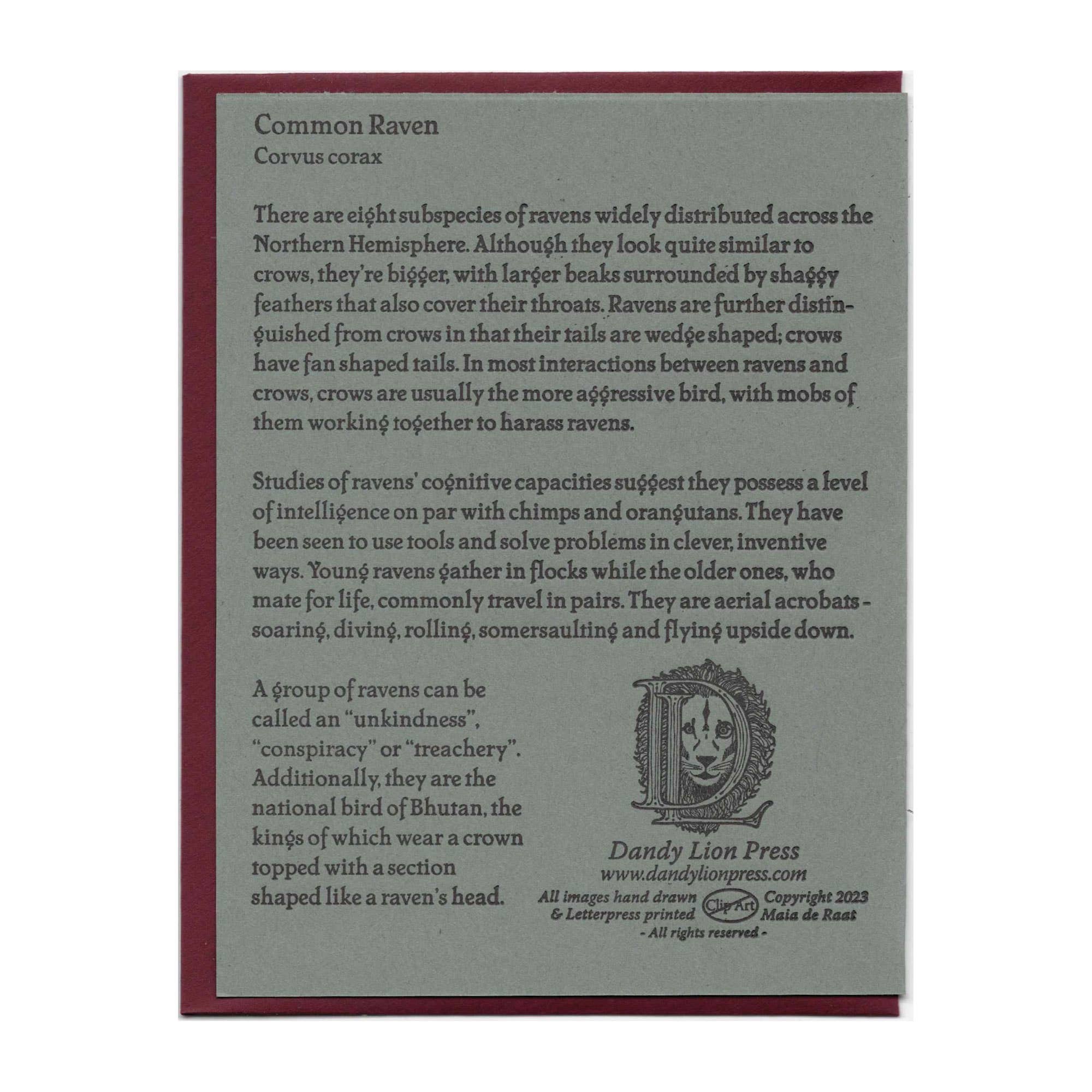 Dandy Lion Press - Wholesale Everyday Greeting Card - Common Raven Card Letterpress Printed1