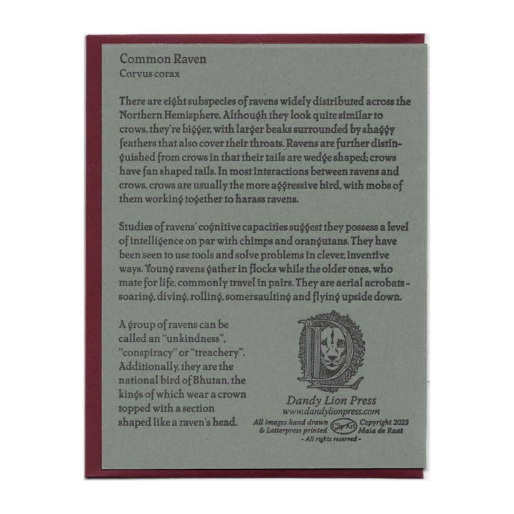 Dandy Lion Press - Wholesale Everyday Greeting Card - Common Raven Card Letterpress Printed1