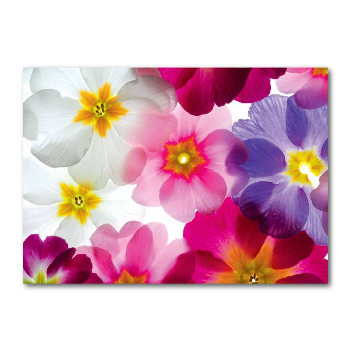 Carte postale paysage couleur DIN A6 MG1384 pour la vente par Gutrath Verlag