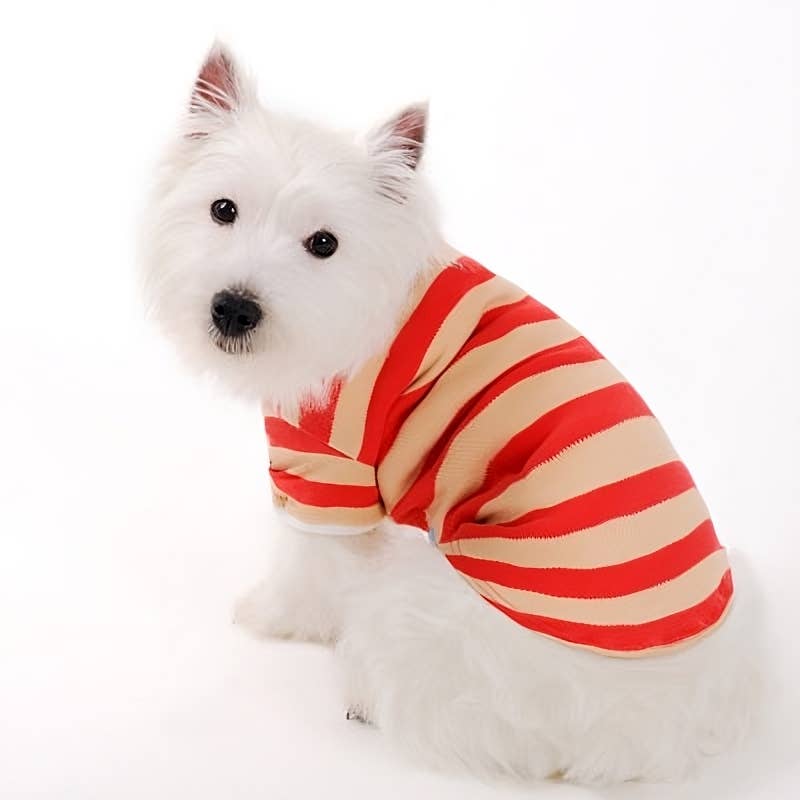 Dogo Pet - Wholesale Pet Shirt - Dog - PP Stripe Polo Shirt12