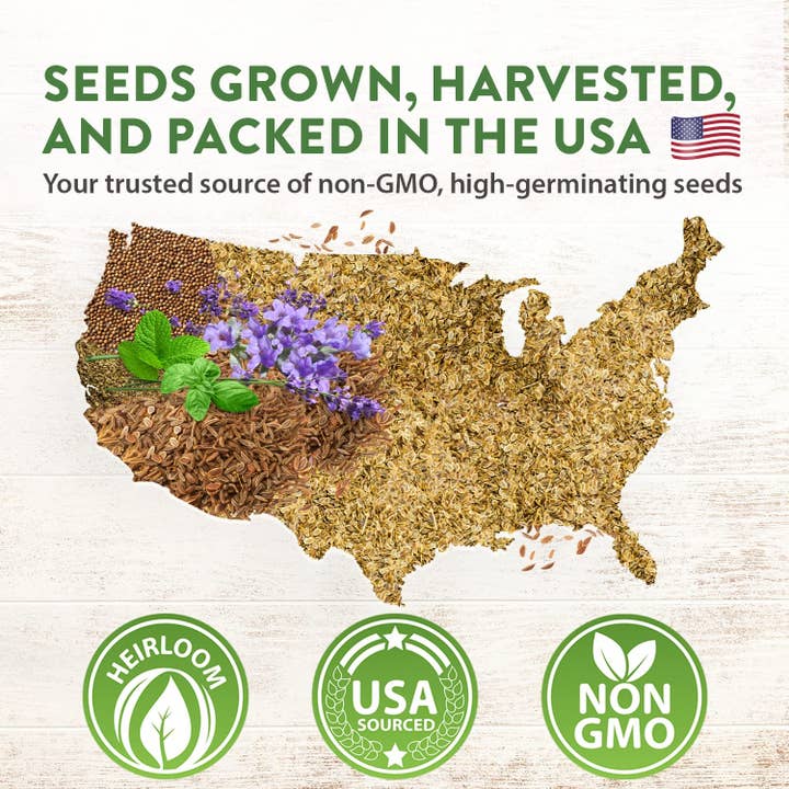 Homegrown Garden - Wholesale Plant Seeds - 15 Culinary Herb Seed Vault - Heirloom and Non GMO