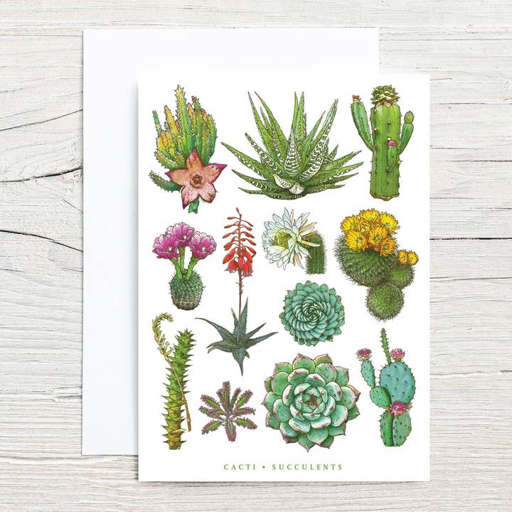 Brook Isle - Wholesale Stationery/Notecard Set - Cacti Beauties 5x7 Single Notecard