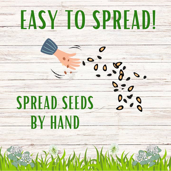 Flawn Seed Kits - Wholesale Plant Seeds - Dutch White Clover Seed12