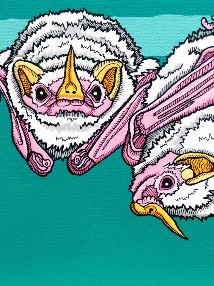 Wondrous White Tent-Making Bats Art Print for wholesale by Pop Zoo