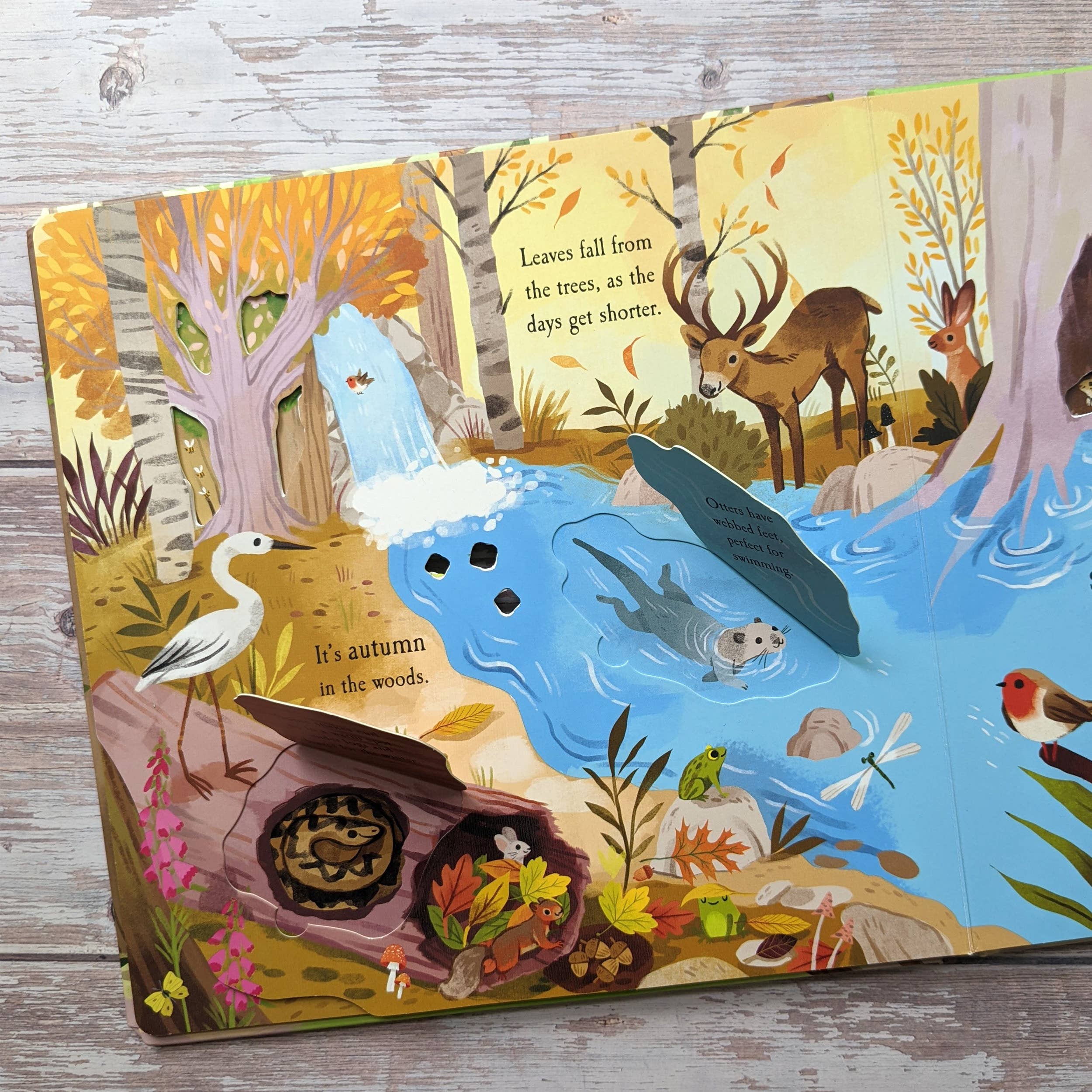 Robert Frederick Ltd – wholesale Pre-school book (3–5) – Nature Die Cut Book - Woods1
