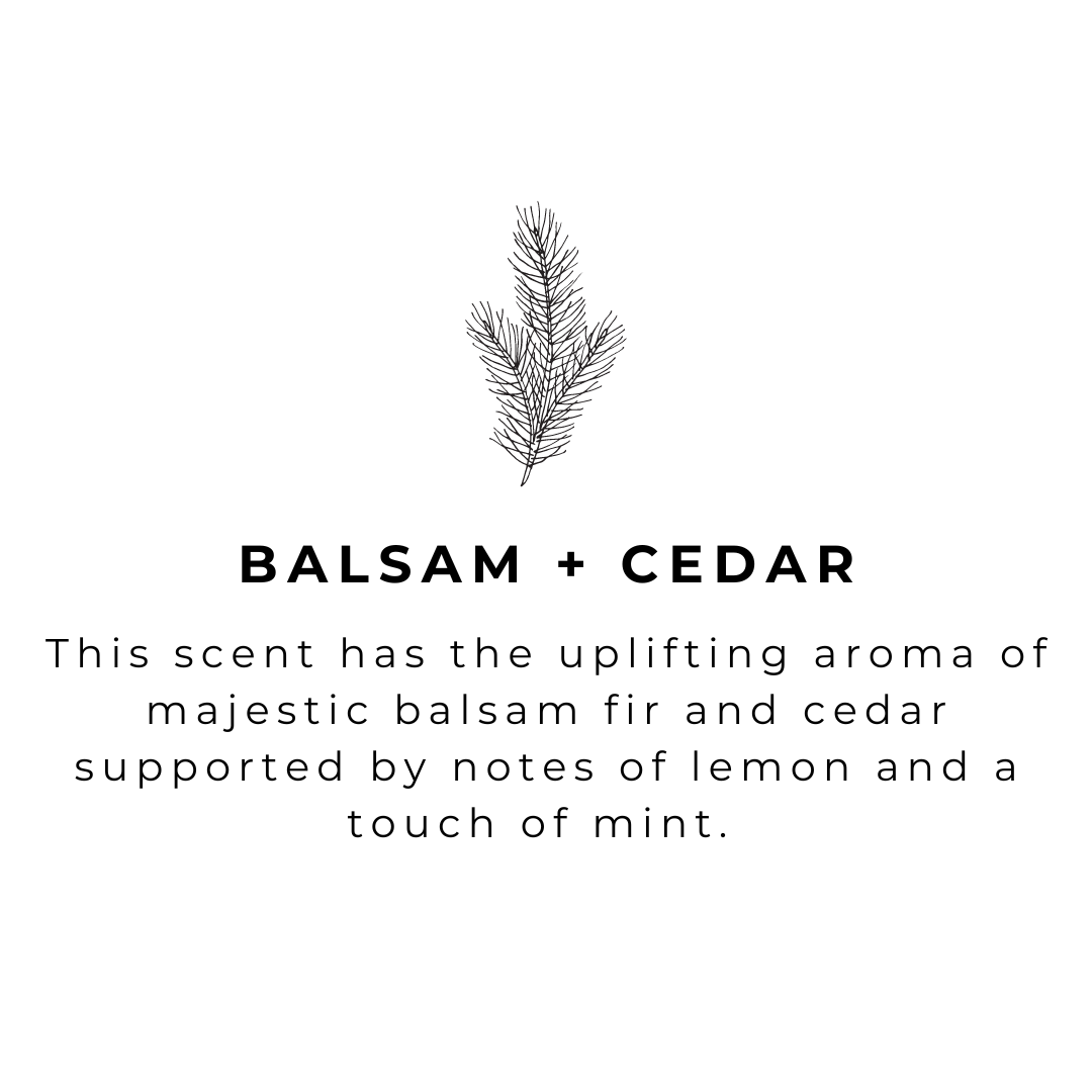 River Birch Candles - Wholesale Hand Soap/Wash - Balsam + Cedar - 16 oz Amber Glass - Handmade - Hand Soap 6