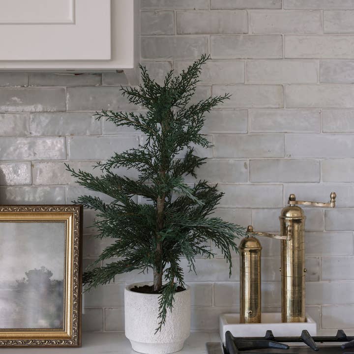 CG Hunter - Wholesale Artificial Plant - Cedar Tree with Cream Pot