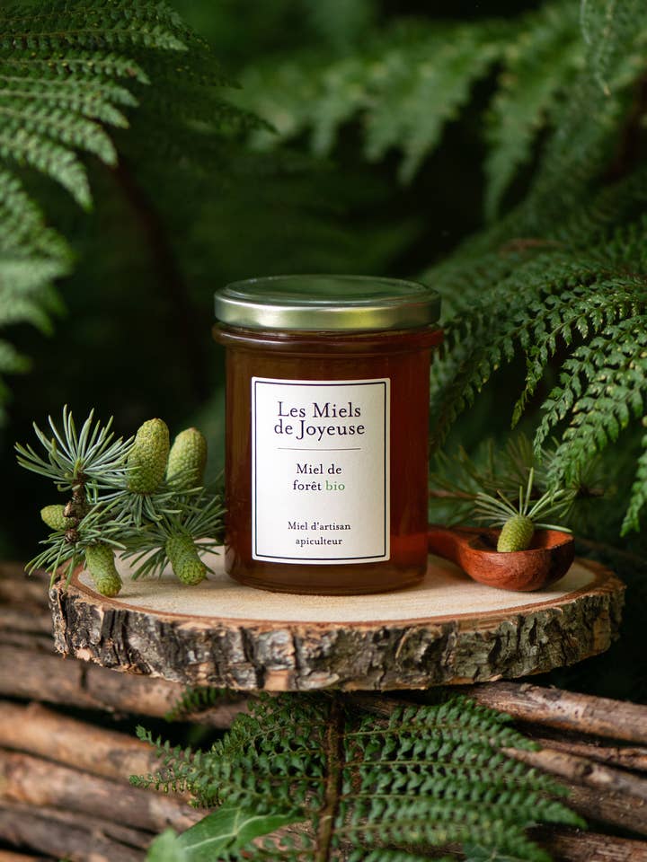 Organic Forest Honey for wholesale by Miels de Joyeuse