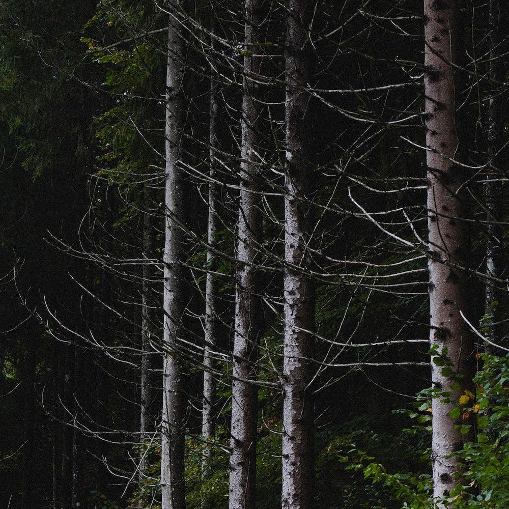 March - Wholesale Hand Soap/Wash - Botanical Hand Wash1