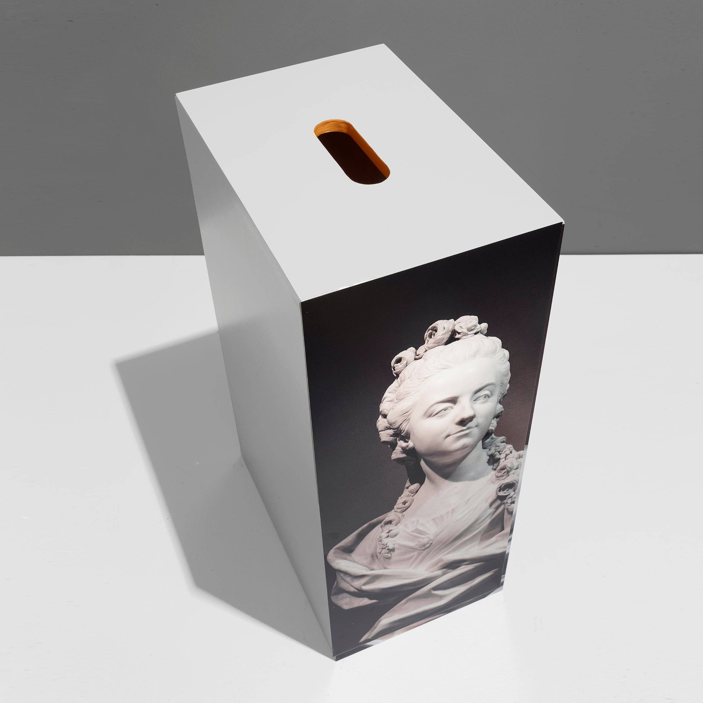 ilan – Caixa decorativa por atacado – 40-a caixa de maçãs-Genevieve-a série de fotografias-ABS Ilan Rubin1