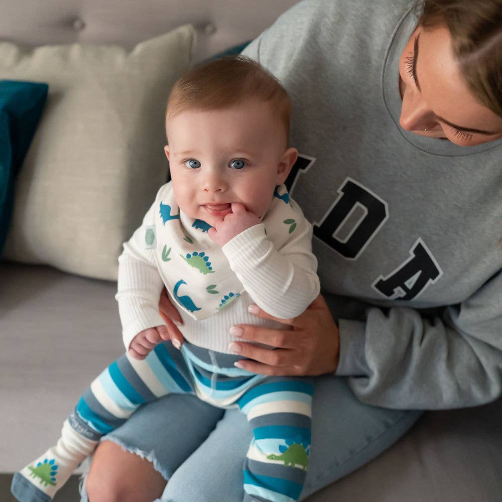 Ziggle Baby - Wholesale Clothing Set - Baby - Dino Leggings and Socks Set5