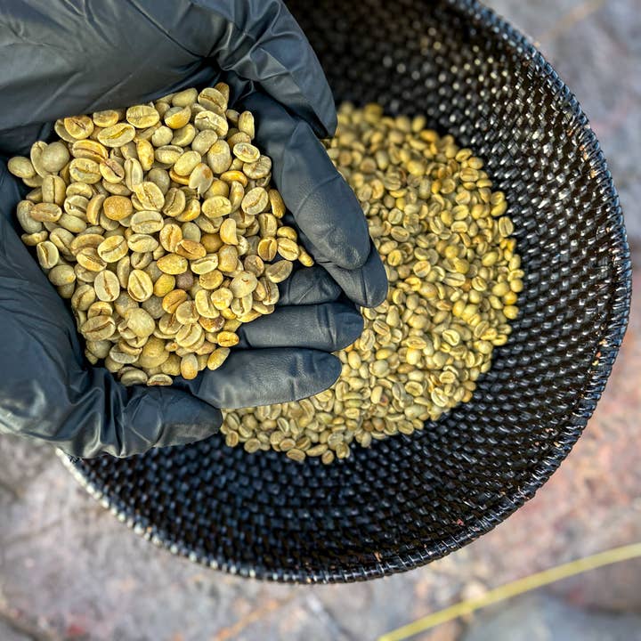 BAZAAR COFFEE - Vendita all'ingrosso Caffè in grani - Fagioli di Caffè Verde Speciale Decaffeinato Messicano MWP