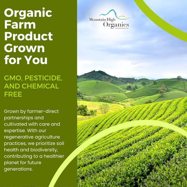 Mountain High Organics – wholesale Pasta – Gluten Free Organic Quinoa Pasta, Spaghetti - 5lb Bags5