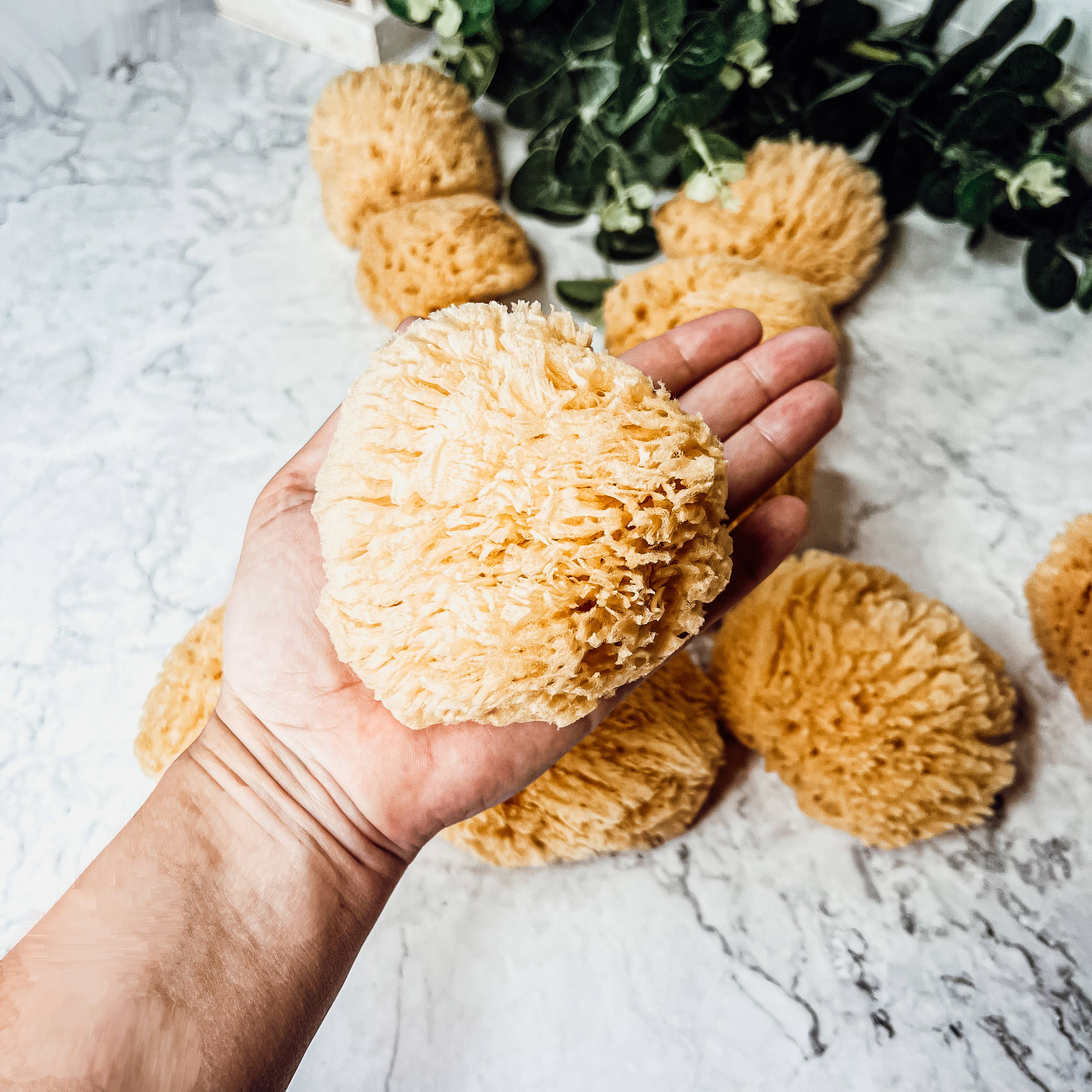 Gia Roma - Wholesale Bath Pouf/Sponge - Dead Sea Sponge, All Natural Body Wash Loofah 4-5"20