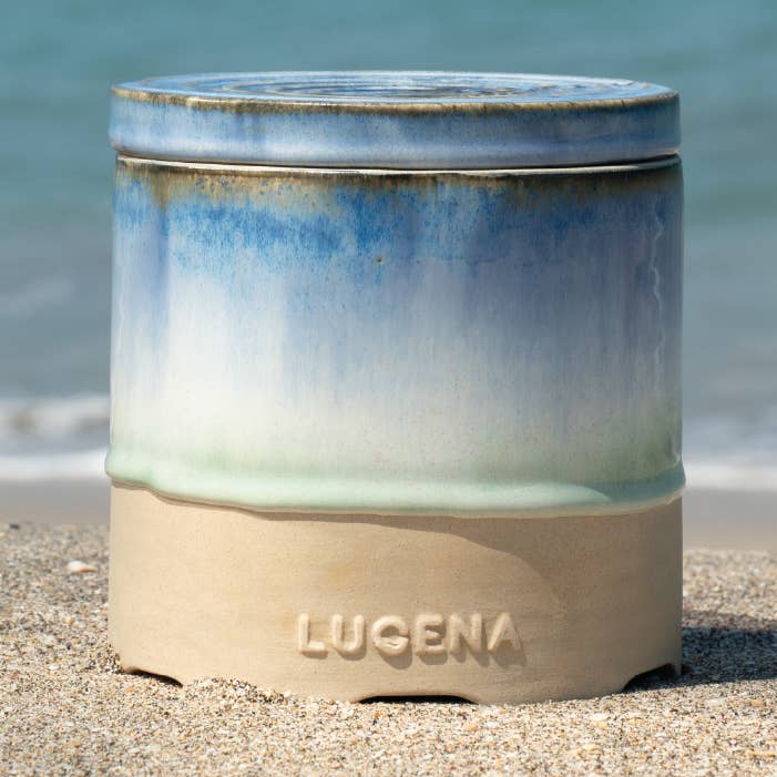 XL – Spondylus for wholesale by LUCENA