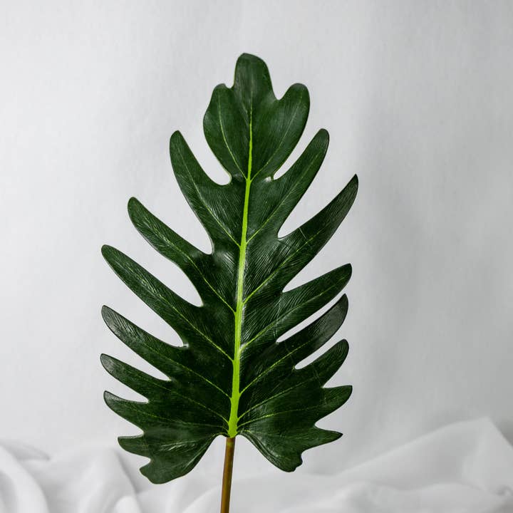 Realistic Artificial Flowers - Wholesale Artificial plant - Large Xanadoo Leaf-Realistic Artificial Flowers and Greenery1