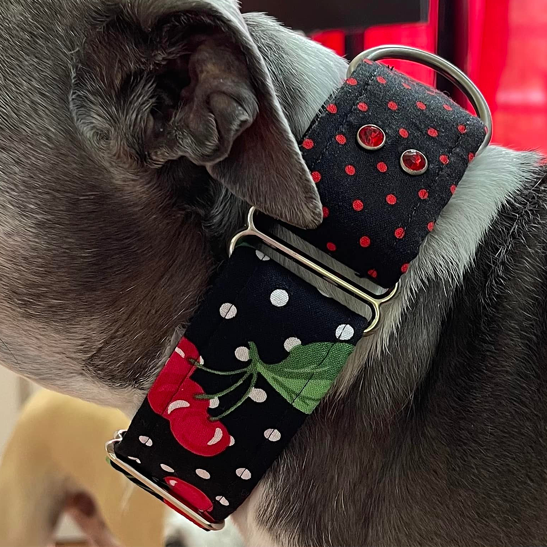 3 piezas Pet Harness moda cinturón Rops duradero para perros cachorros mascotas mascotas mascotas 