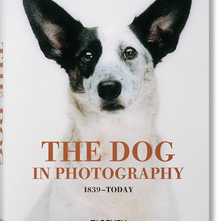 The Dog in Photography 1839–Today (German, French, English) and other Purchase Wholesale pet getrankeflaschen. Free Returns & Net 60 Terms on Faire trending on Faire.