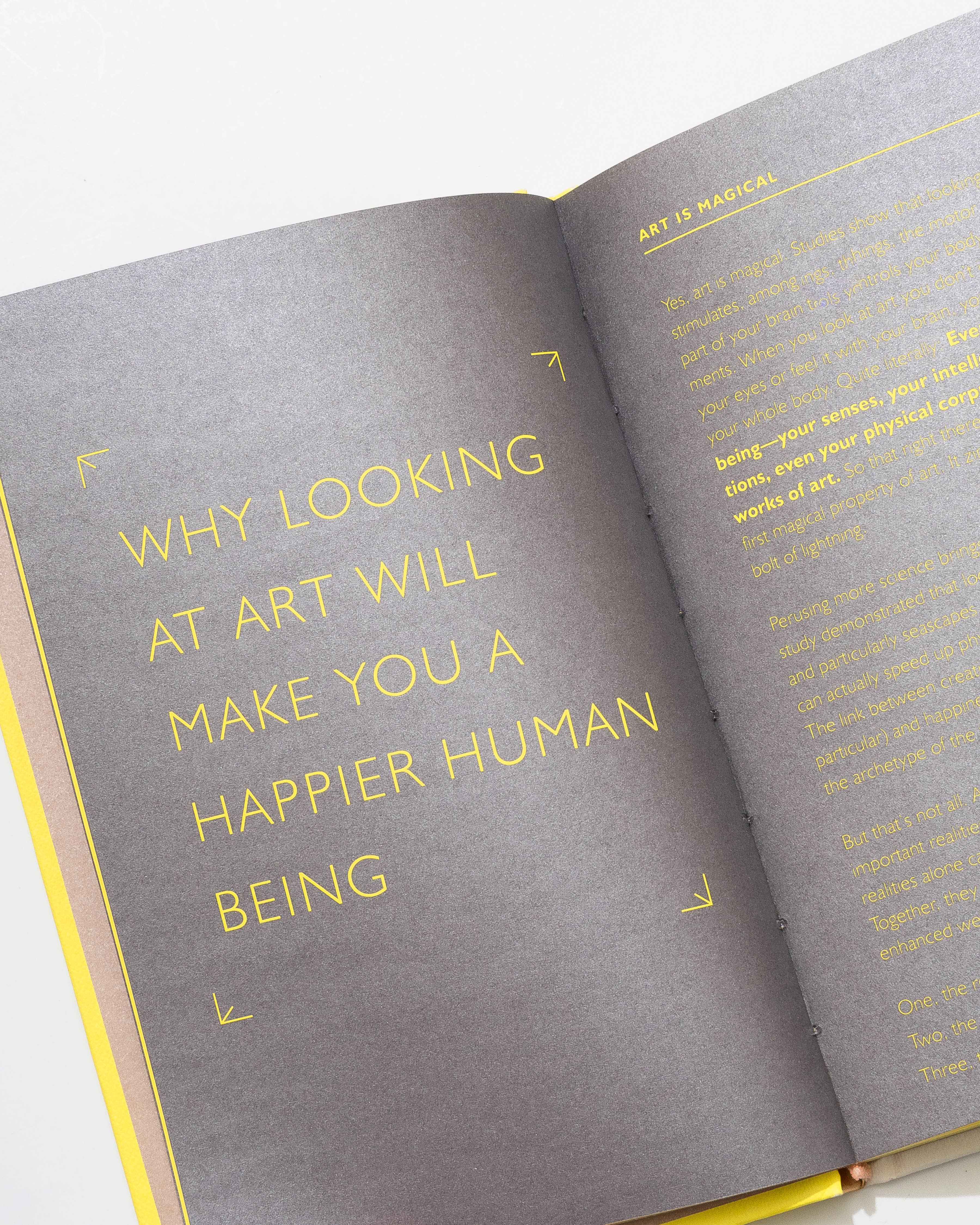 Chronicle Books - Wholesale Arts & Entertainment Book - How Art Can Make You Happy8