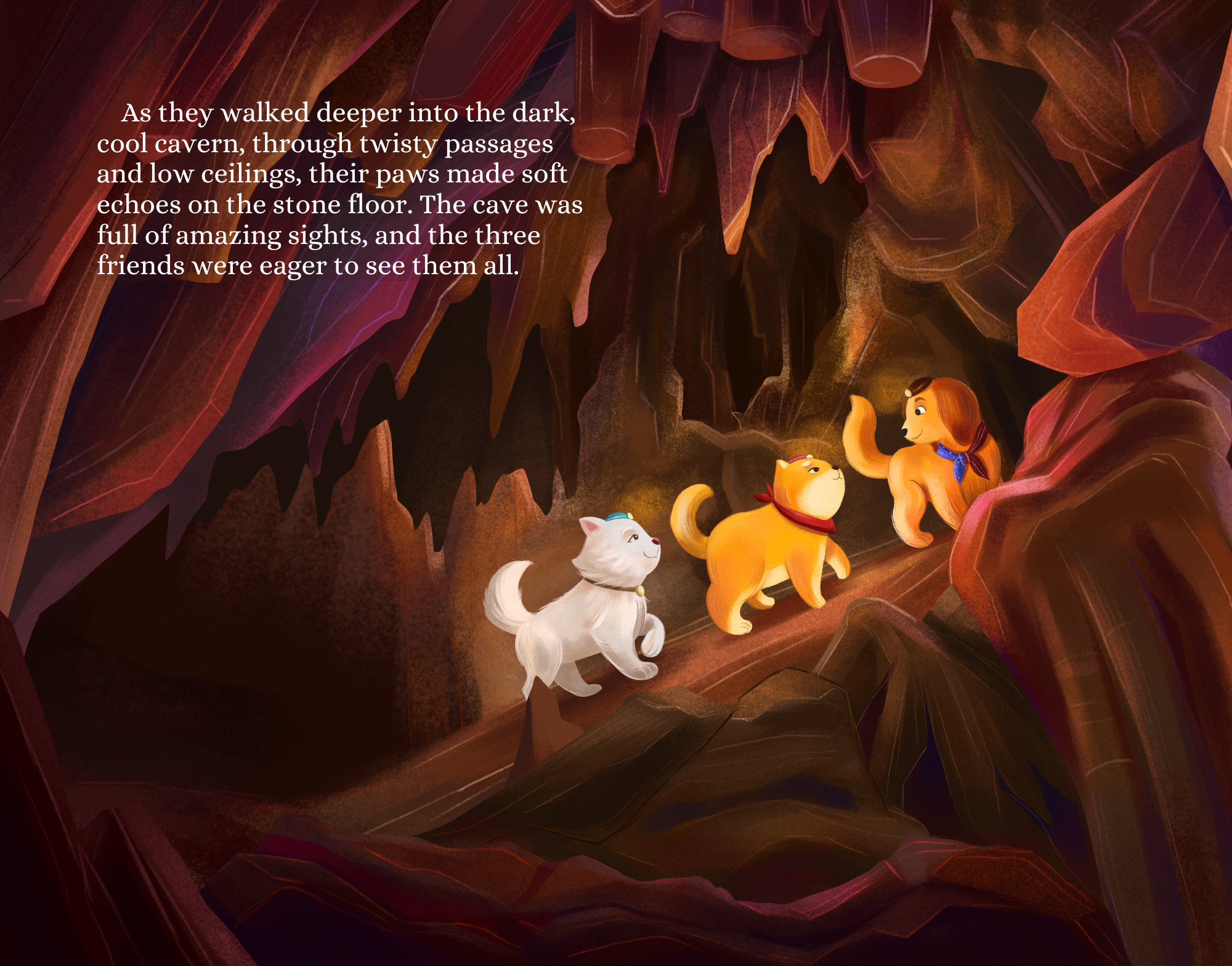 Miso and Kili's Treasure Shop - Wholesale Early Reader Book (6-8) - A Southern Arizona Cave Adventure Hardcover5