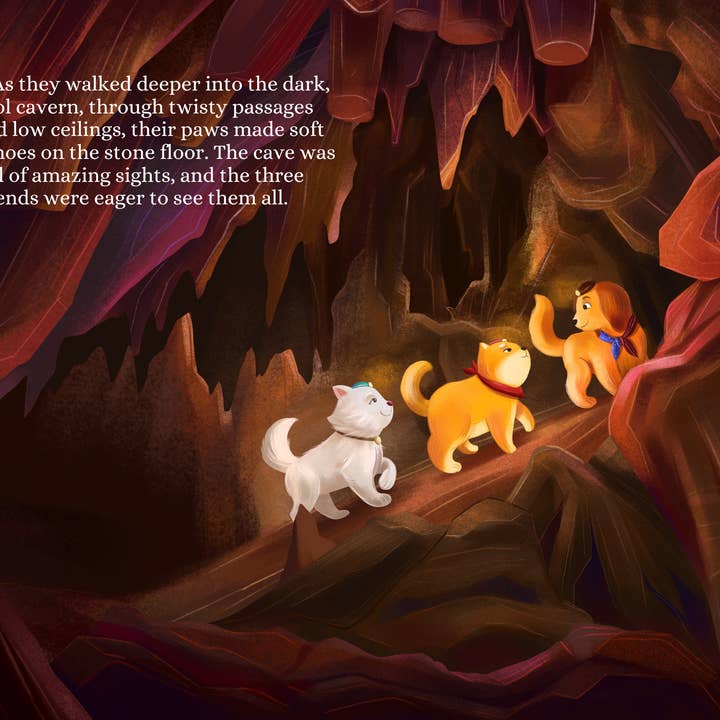 Miso and Kili's Treasure Shop - Wholesale Early Reader Book (6-8) - A Southern Arizona Cave Adventure Hardcover5