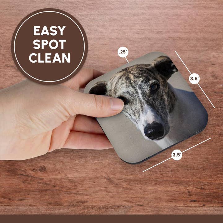 3dRose - Wholesale Coasters - 3dRose, Portrait of a Whippet, Coaster13