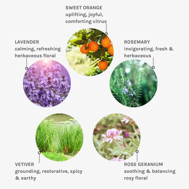 Evolve Organic Beauty - Wholesale Hand & Body Lotion - Pure Tranquility Hand & Body Duo2