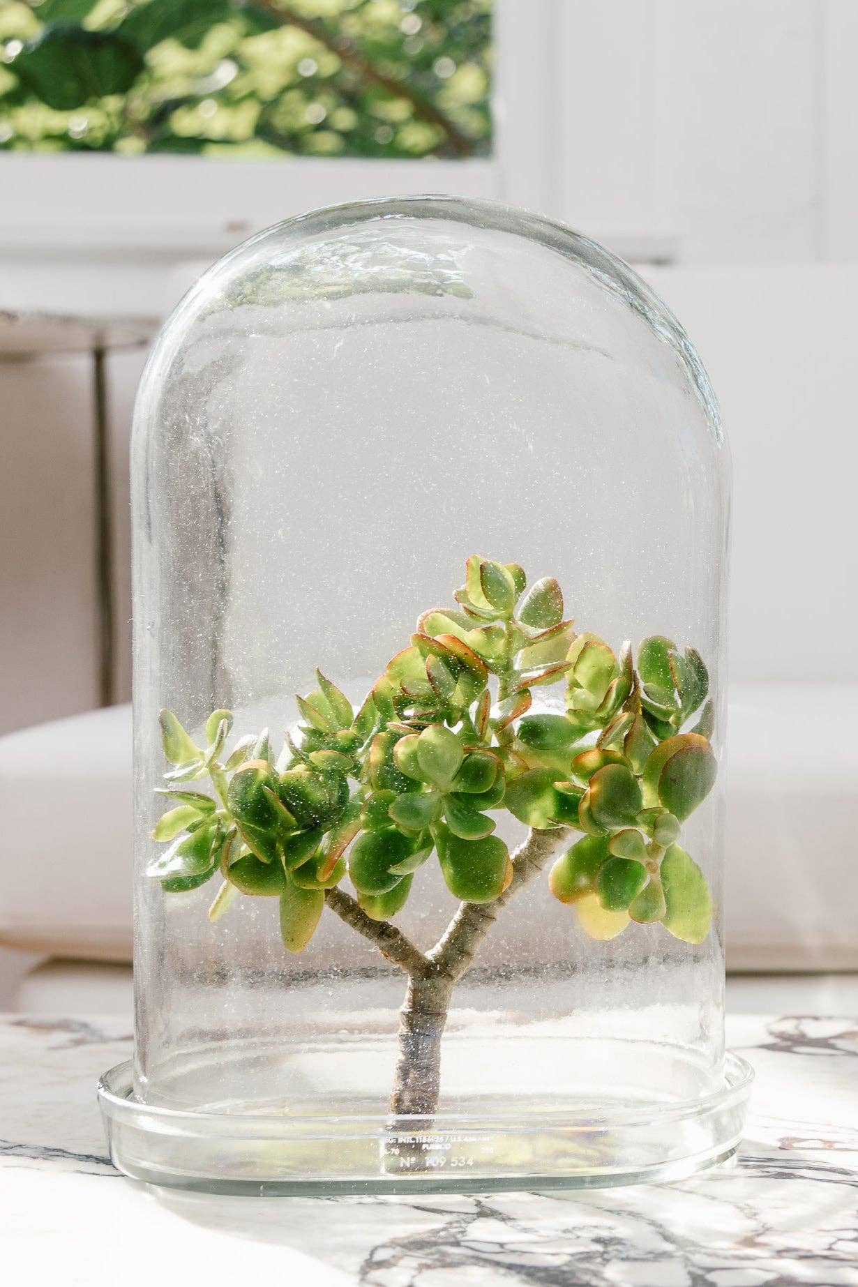 Puebco - Wholesale Decorative Tabletop Object - DISPLAY GLASS DOME4