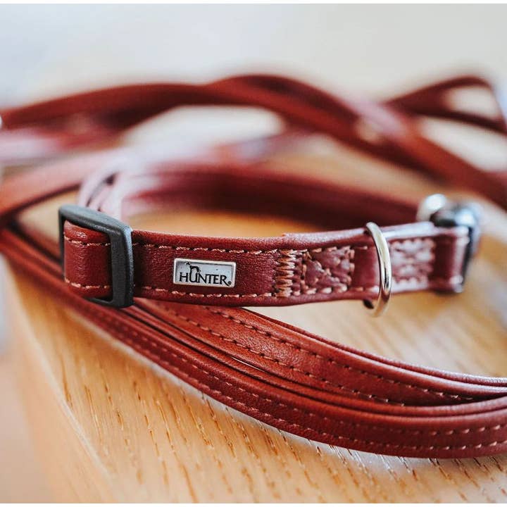 Alpen Schatz – Engroshandel Halsbånd - Hund – Petite HUNTER „UP“ læderklips krave10