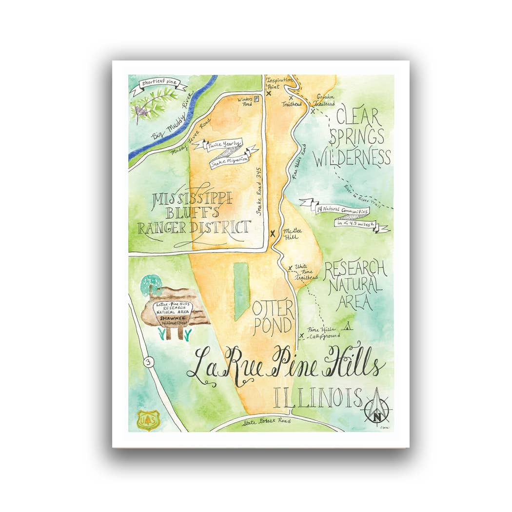 Emily Drew Yates Art & Illustration - Wholesale Postcard - Postcards - Watercolor Calligraphy Maps - 31 Maps23