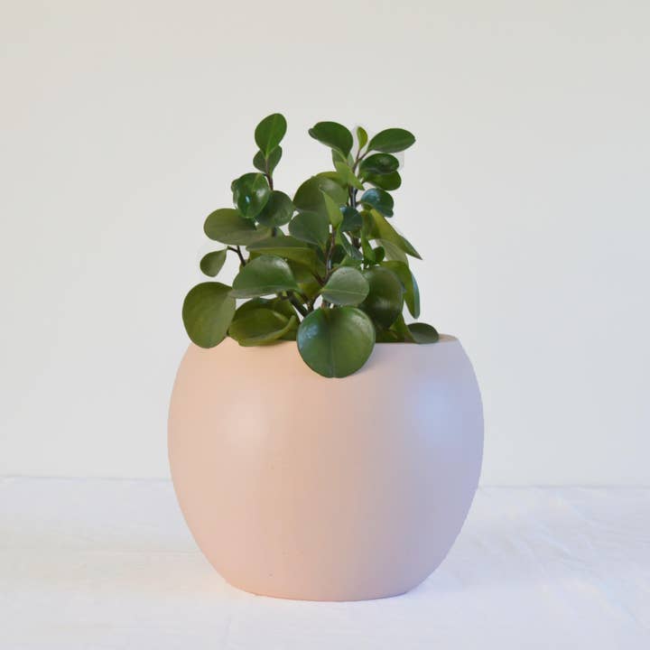Common House Studio - Wholesale Plant Pot - SPHERE POT | PLANTER