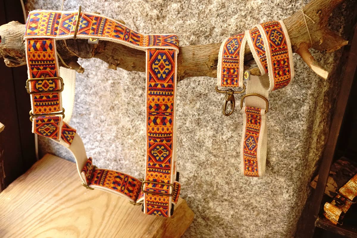 hundsfutter - Wholesale Pet Harness - Dog - "Ruben" dog harness and leash13