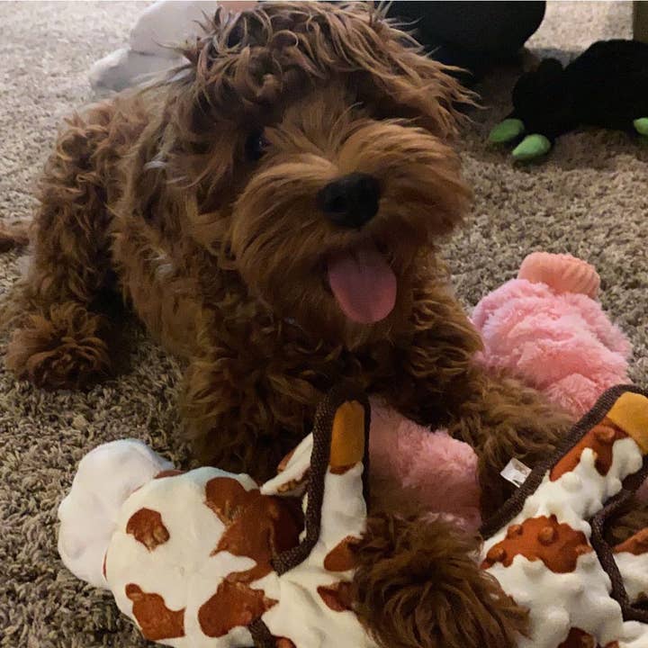 STEELDOG USA LLC - Wholesale Pet Plush Toy - Dog - Baby Bump Flat Brown Cow2