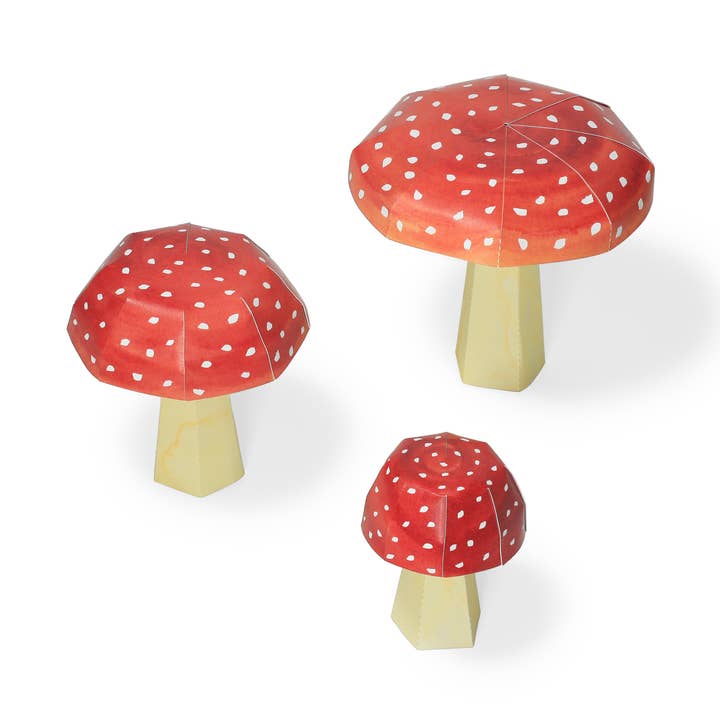 pukaca - Wholesale DIY Craft Kit - Amanita Muscaria Mini Garden Craft Kit0