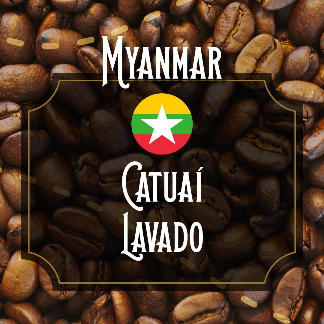 Libis coffee roaster - Wholesale Coffee Beans - Myanmar coffee2