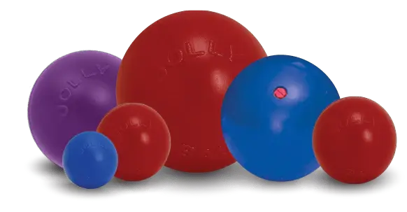 Rover Pet Products - Vente Balle – chien - Push-n-Play : balle ultra résistante pour chien2