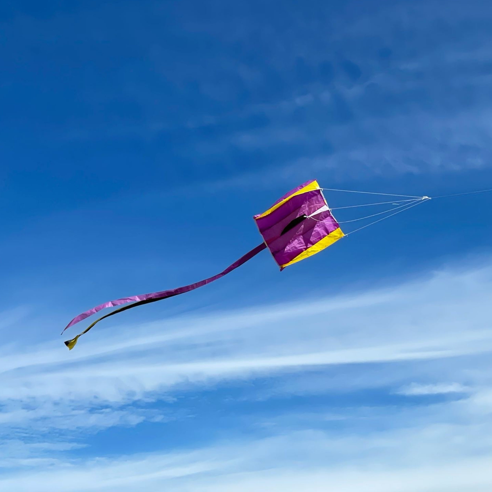 Wild Life Outdoor Adventures - Wholesale Toy Set - Kids - All-Weather Rebel Outdoor Adventure Kit11