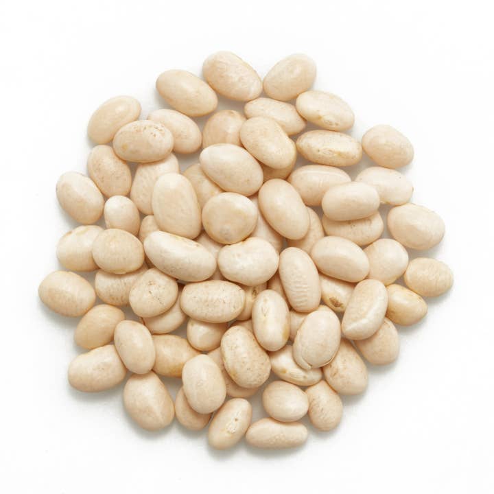Organic White Navy Beans, Beans, GMO Free (25 lbs) for wholesale by Tootsi Impex