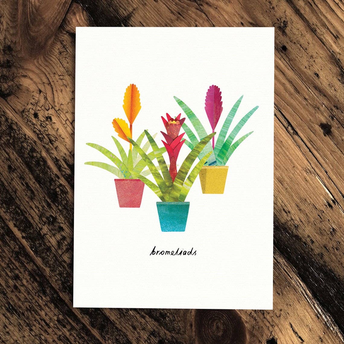 Paperwhale Cards & Paper Goods - Wholesale Everyday Greeting Card - Bromeliads Card1