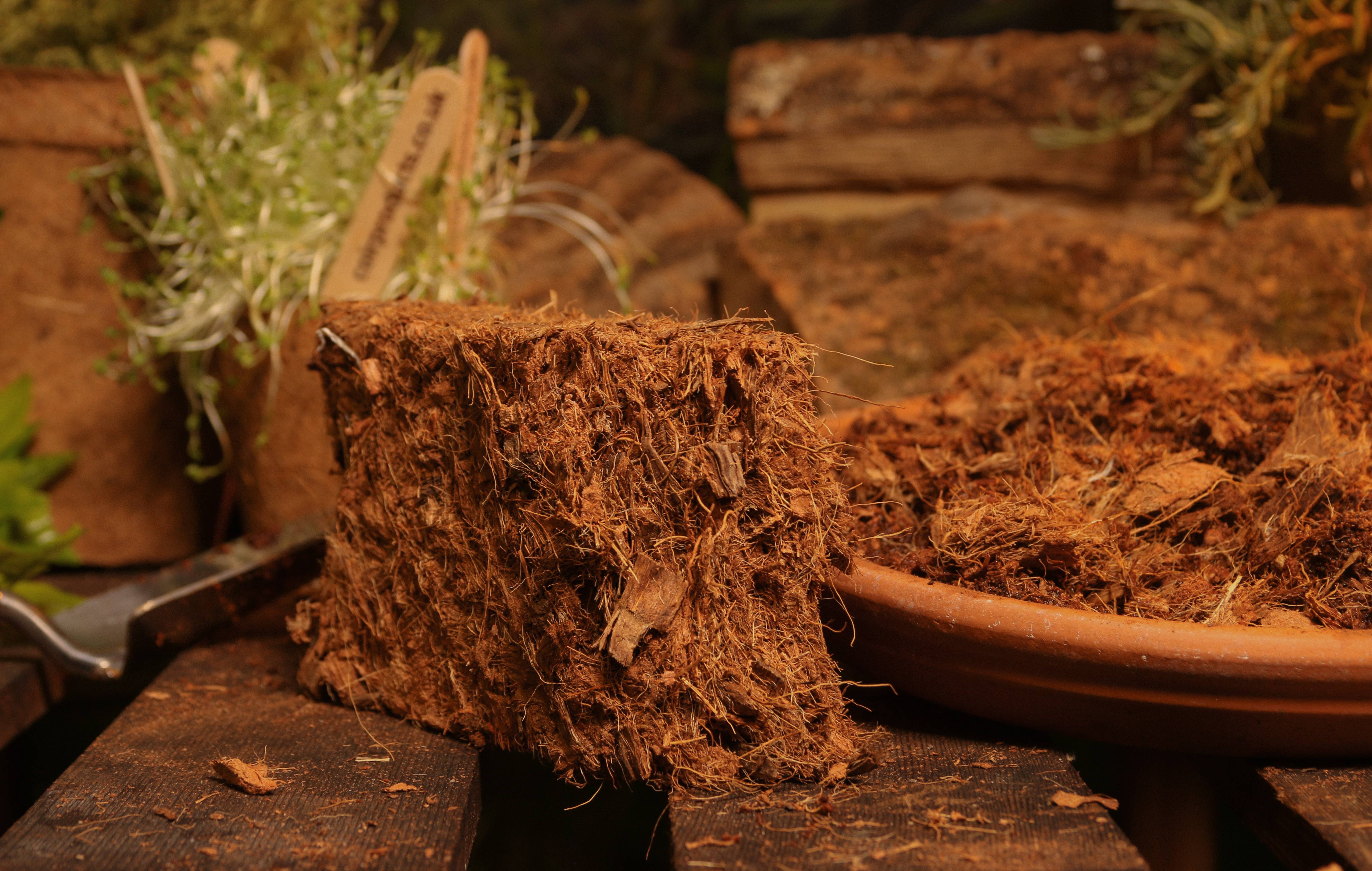CoirProducts.co.uk of Salike Limited – wholesale Planting/potting soil – 500g Coco Chips brick Coirproducts Cpuk5