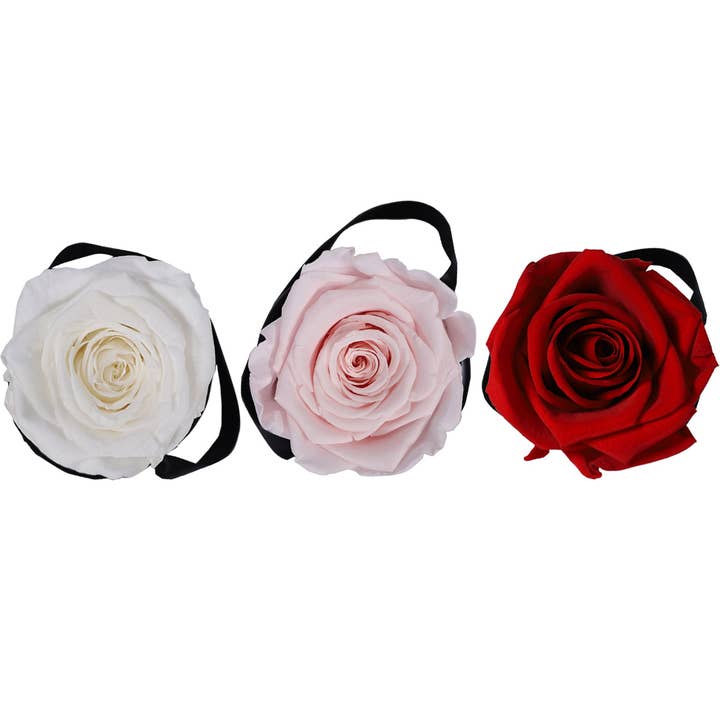 Rose Forever – wholesale Dried/pressed flowers – Mixed Roses Mini Dome Box – Luxury Flowers