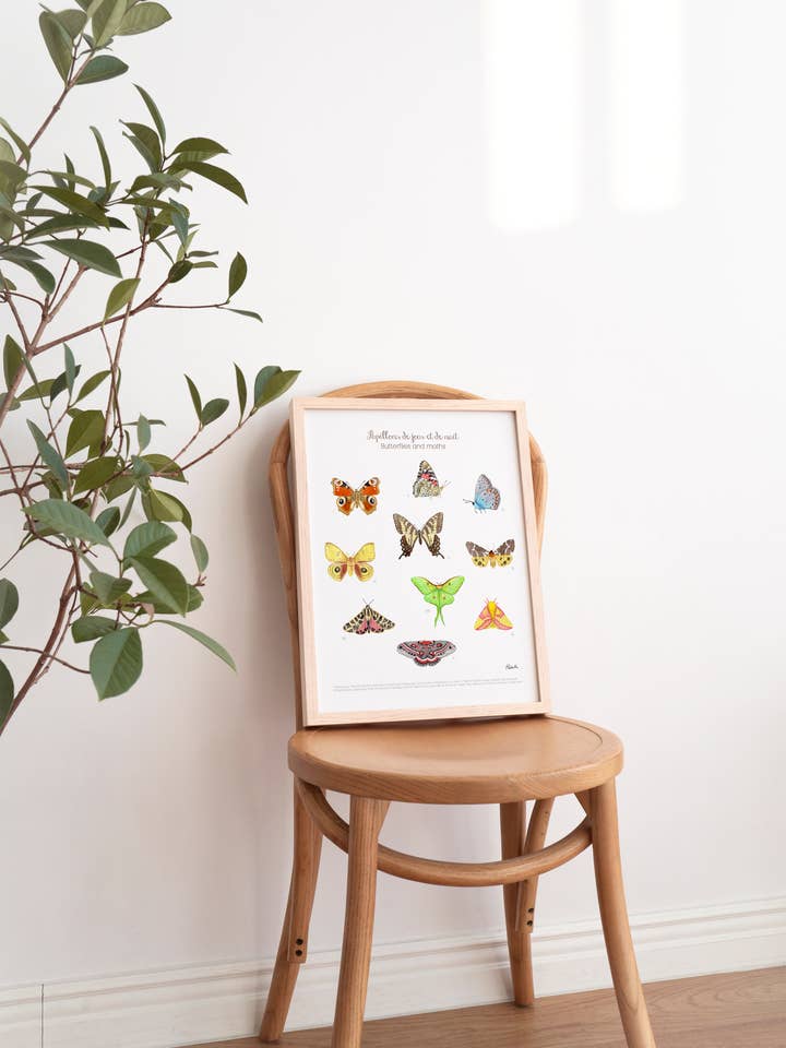 Farfalle e falene, Stampa artistica per la vendita all'ingrosso da parte di Hobeika Art