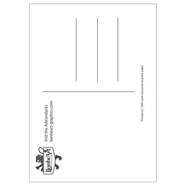 Lionheart Graphics - Wholesale Postcard - Visit the Adirondacks Postcard | Adk Mountains Souvenir Gift1