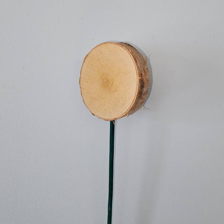 Northwoods Natural Accents - Wholesale Garden/Lawn Stake - Birch Mini Lollipop W/Pick1