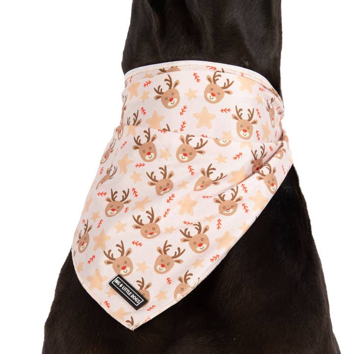 Big and Little Dogs - Wholesale Pet bandana – Dog - DOG BANDANA: Dashing Through The Stars2