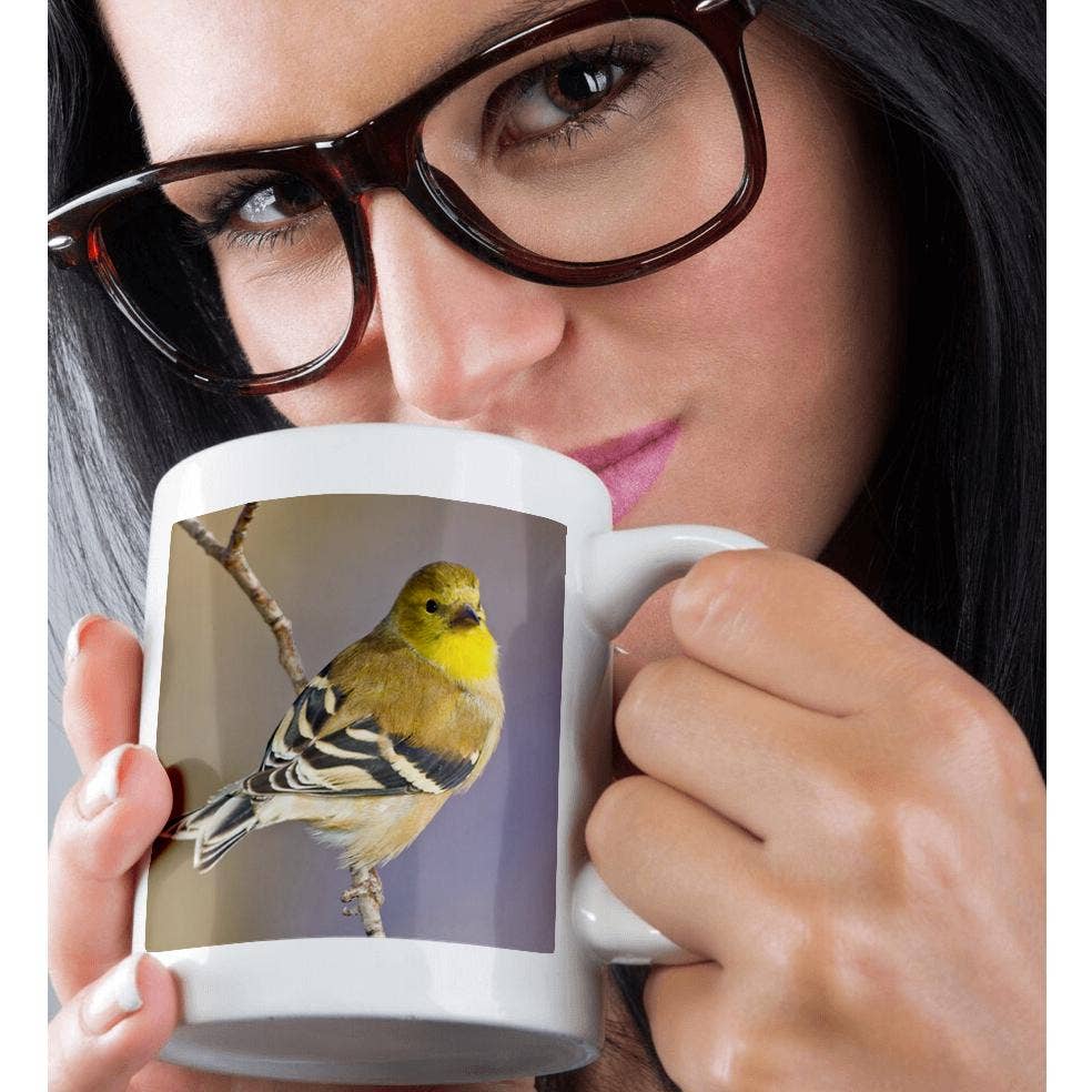 3dRose - Wholesale Coffee Mug - 3dRose, Colorado, Frisco, American goldfinch bird - US06 BJA0077 - Jaynes Gallery, Mug9