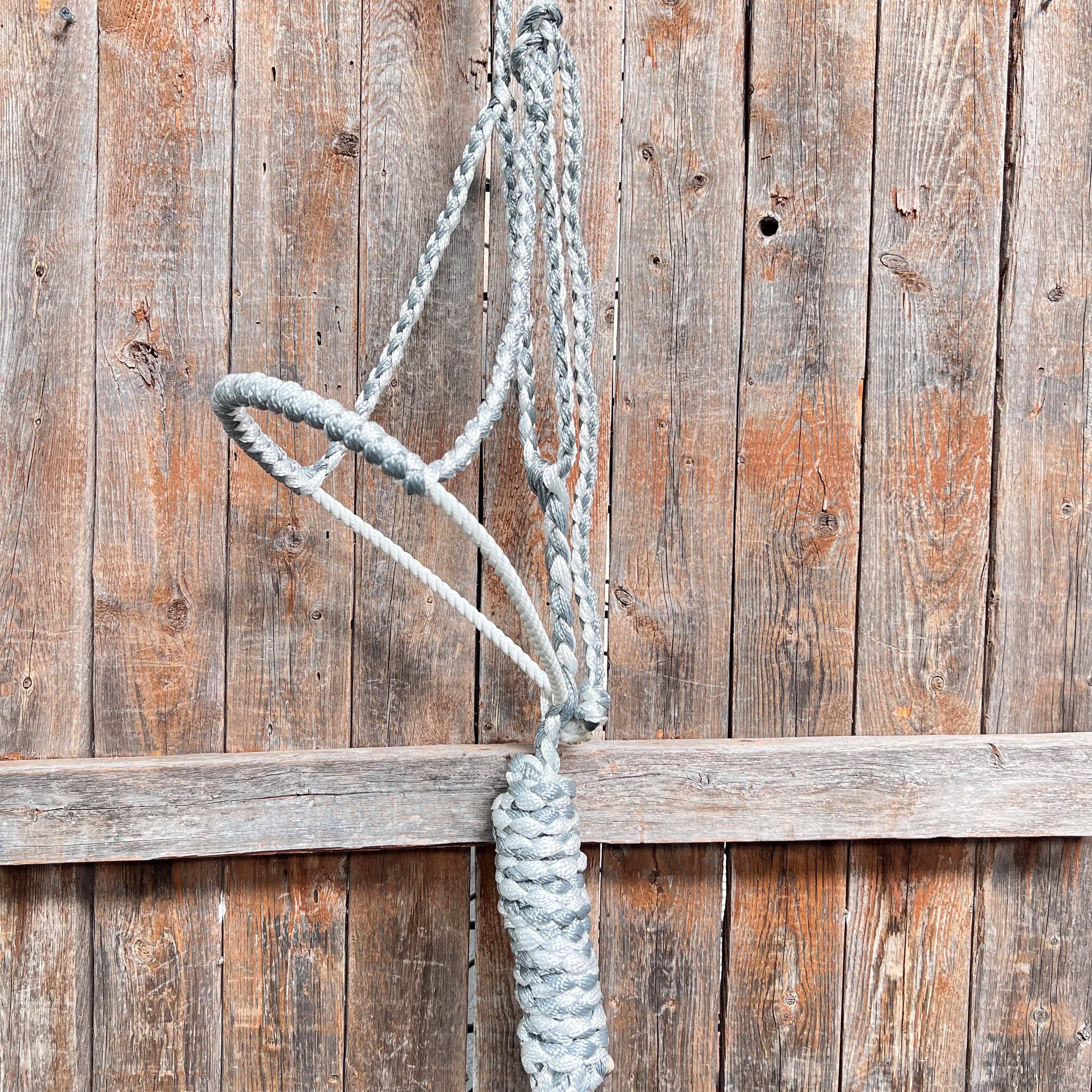 Rodeo Drive - Wholesale Horseback Riding Gear - Lariat Mule Tape Halters - Assorted Double Colors-4