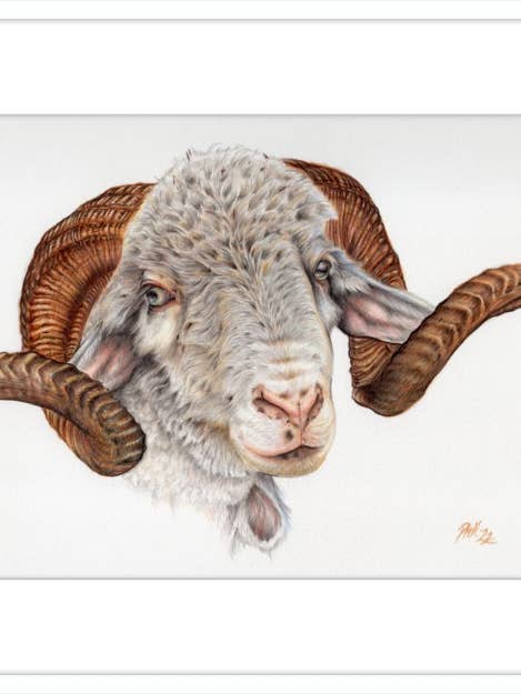 Rambo pour la vente par Gavalina