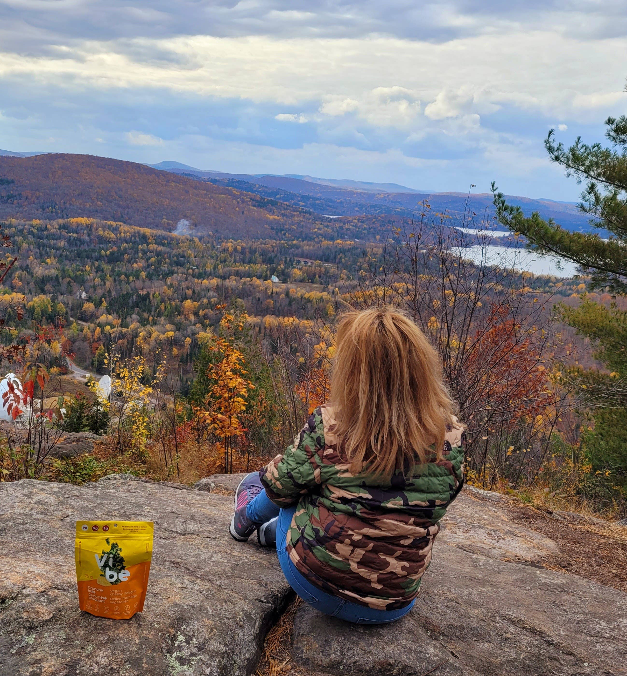 Vibe Foods - Wholesale Chips - Vibe Vegan Cheese Kale Chips4