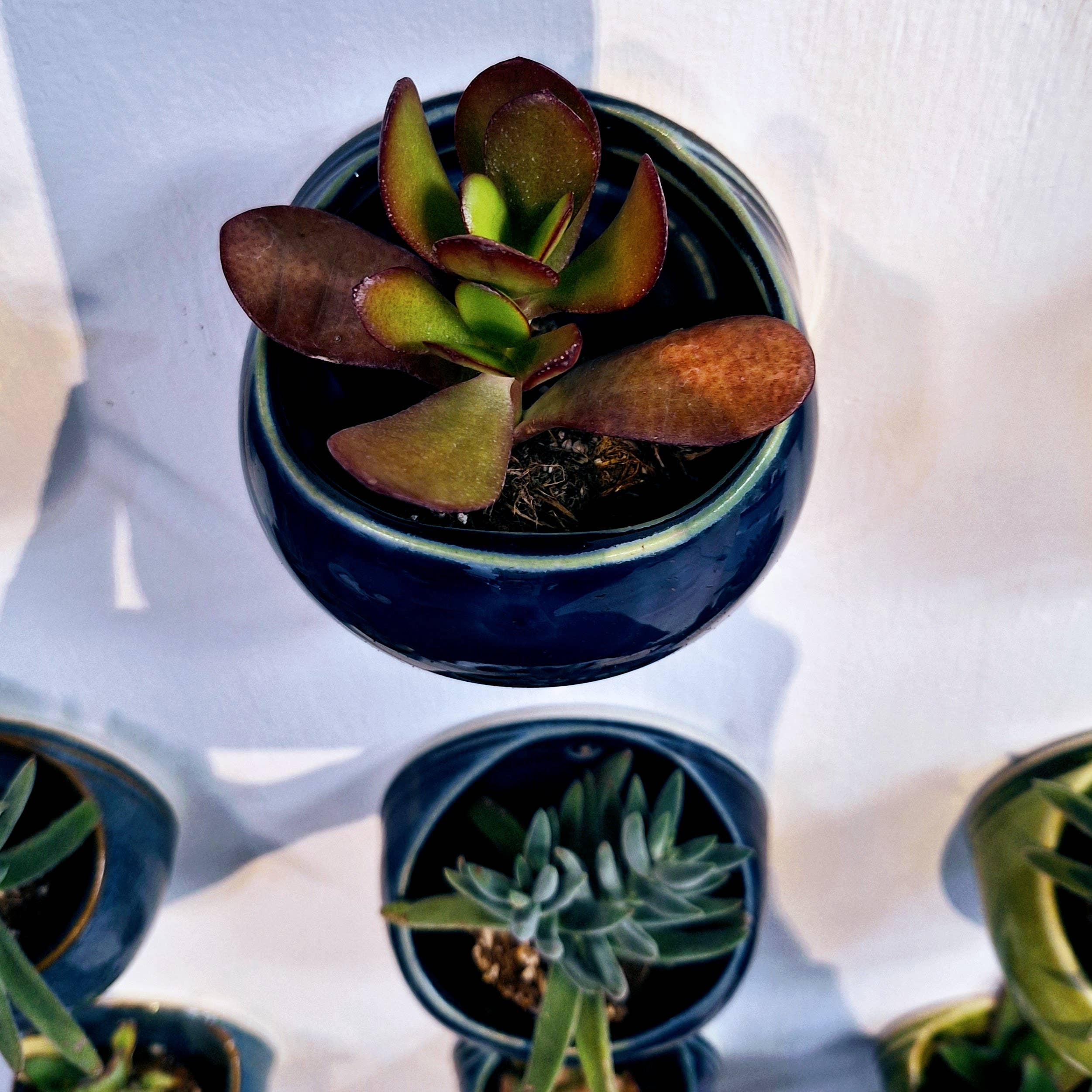 Plays in Mud Pottery - Wholesale Wall Planter - Succulent Wall Planter- Handmade Pottery- Made to Order7